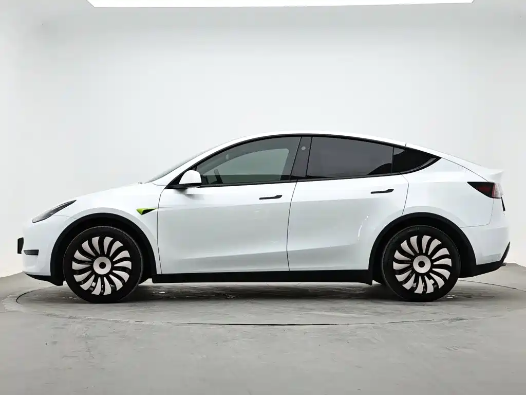 Tesla Model Y — миниатюра 6