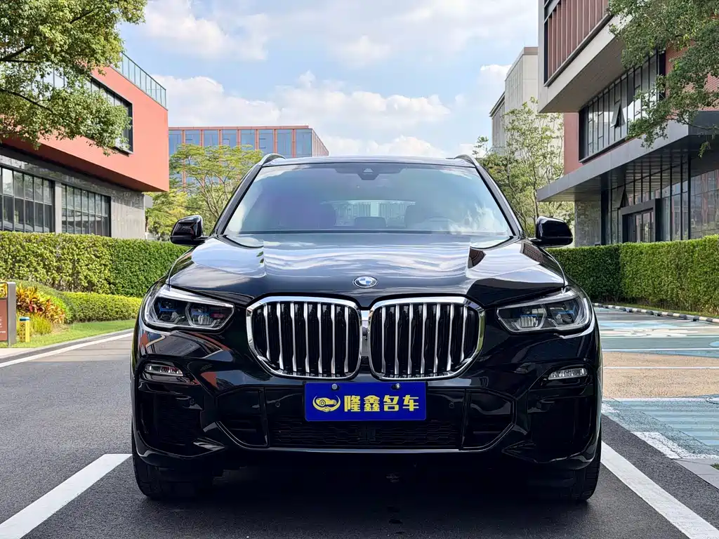 BMW X5 New Energy (Import) — миниатюра 2