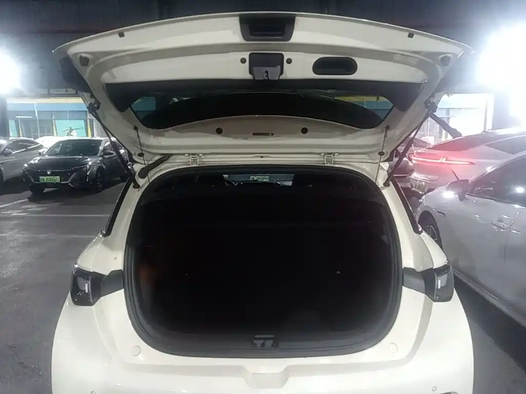 BYD Dolphin — миниатюра 19