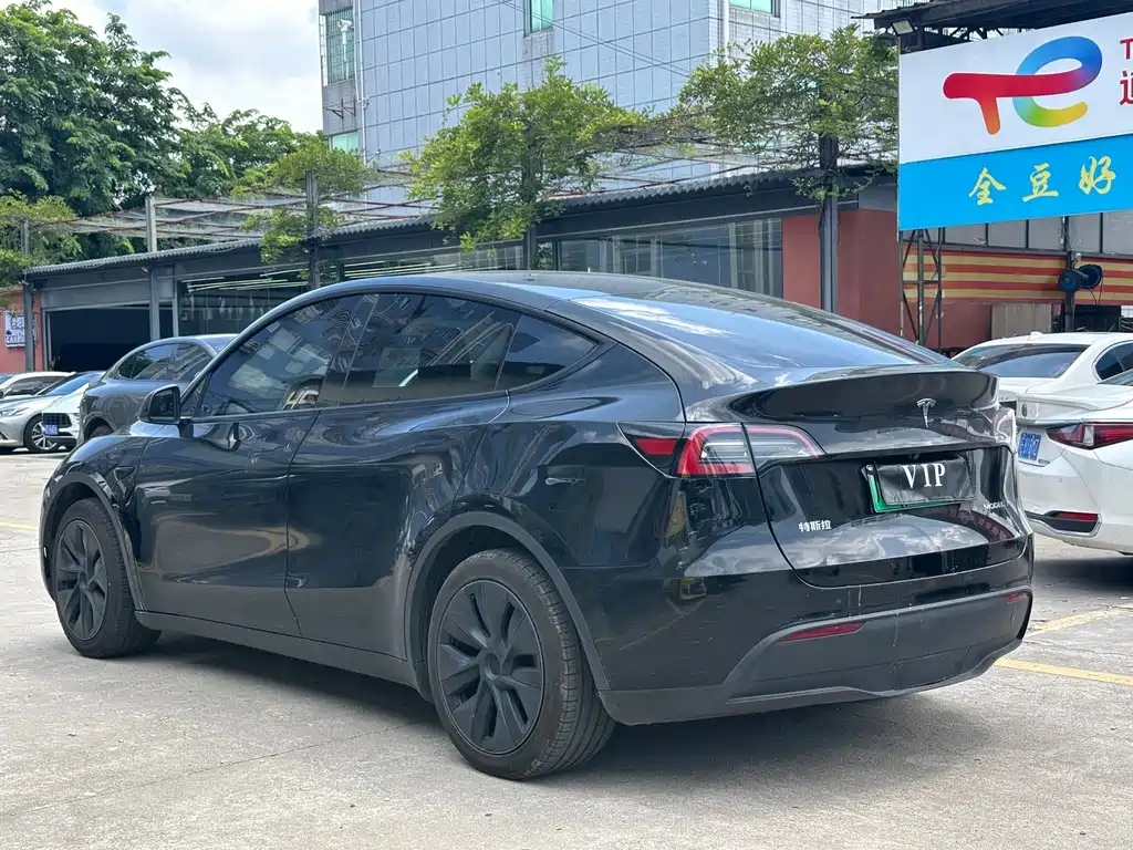 Tesla Model Y — миниатюра 7