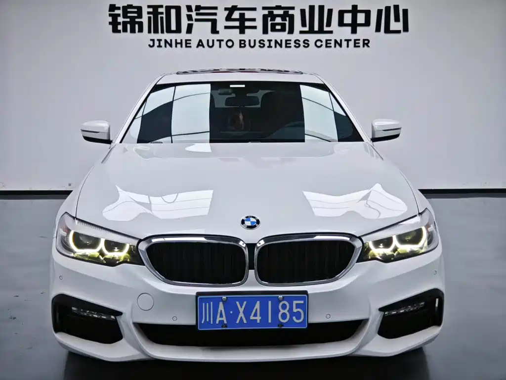 BMW 5 Series — миниатюра 2