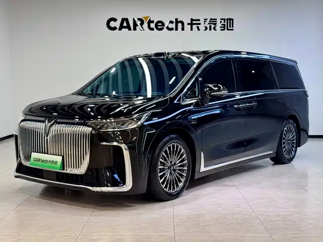 2025 Voyah Dream