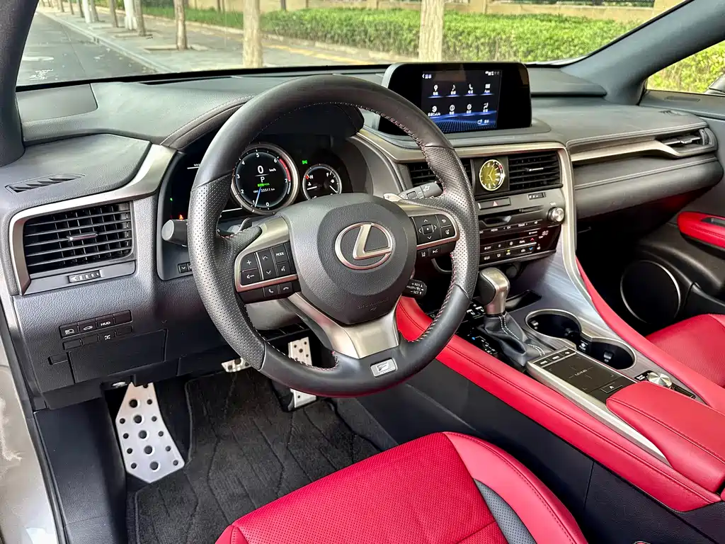 Lexus RX Facelift 300 4WD F SPORT, фото 11