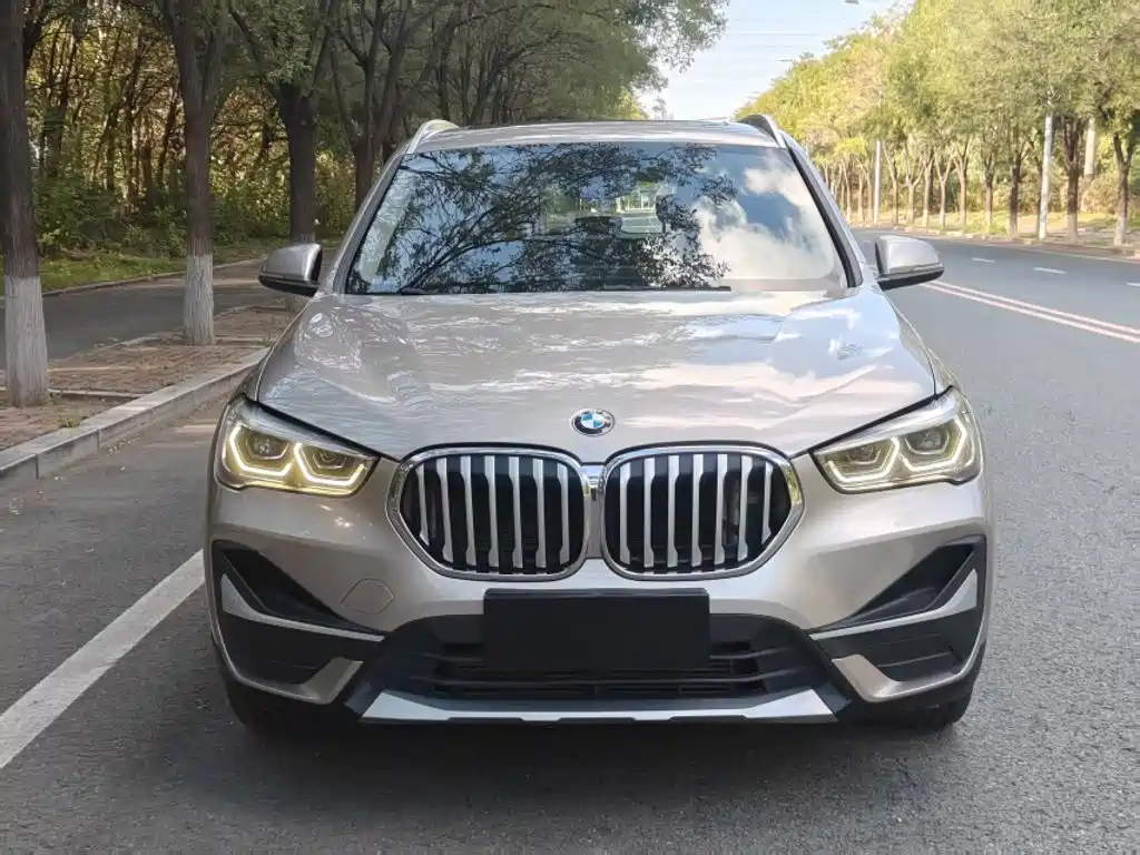 BMW X1 — миниатюра 3