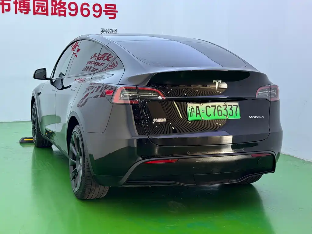 Tesla Model Y — миниатюра 21
