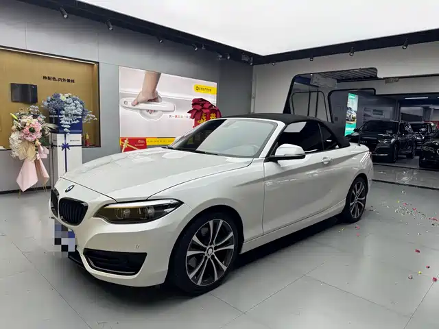BMW 2 SERIES