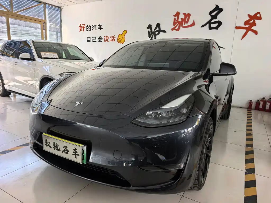 Tesla Model Y — миниатюра 2