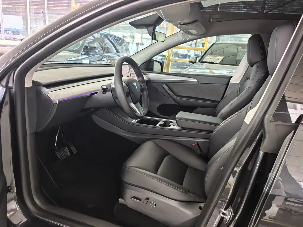 Tesla Model Y — миниатюра 5