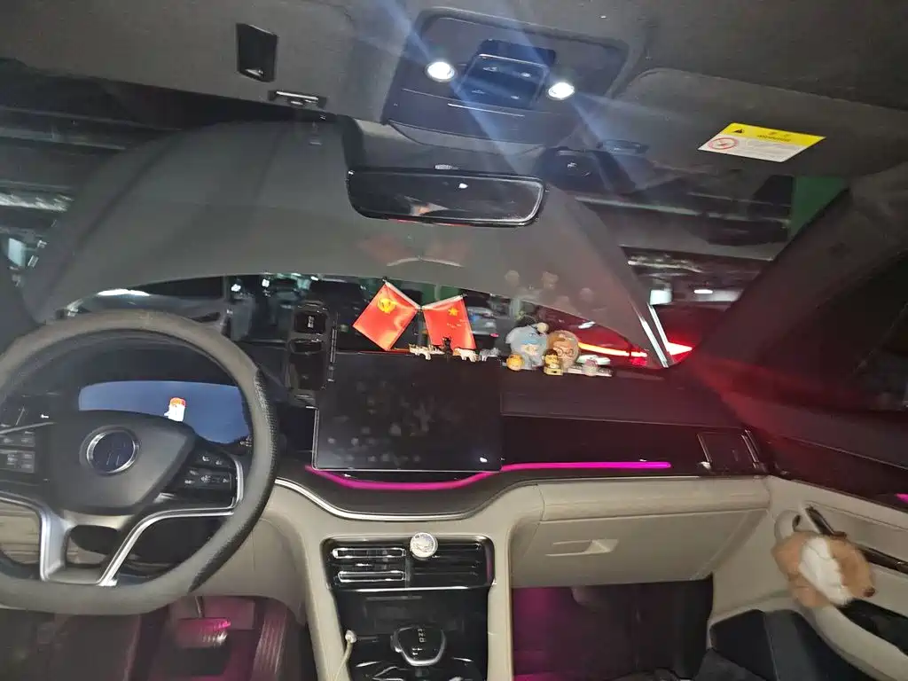 BYD PLUS New Energy — миниатюра 14