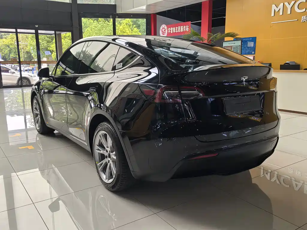 Tesla Model Y — миниатюра 7