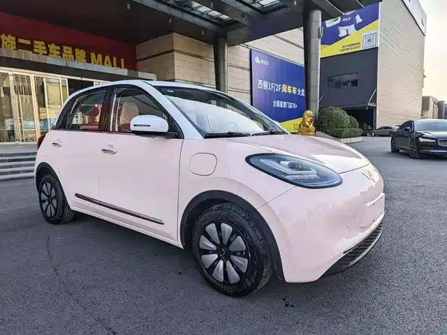WULING AUTOMOBILE WULING BINGGUO 2024