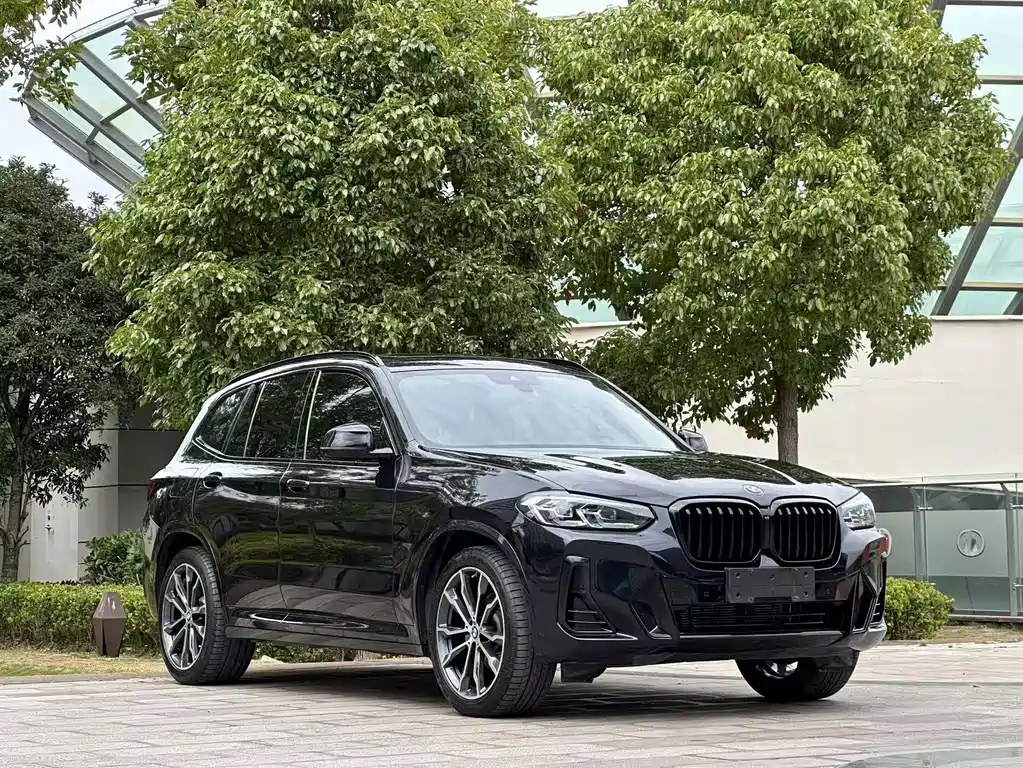 BMW X3 — миниатюра 3