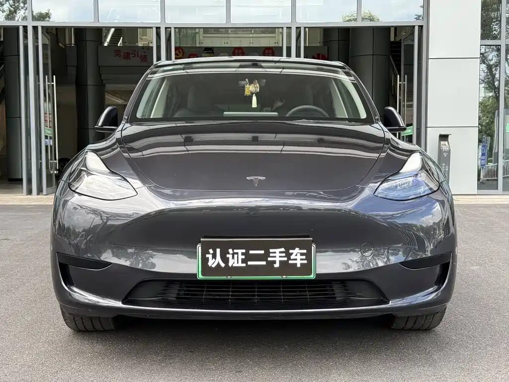 Tesla Model Y — миниатюра 2