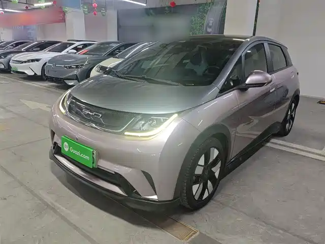 BYD DOLPHIN