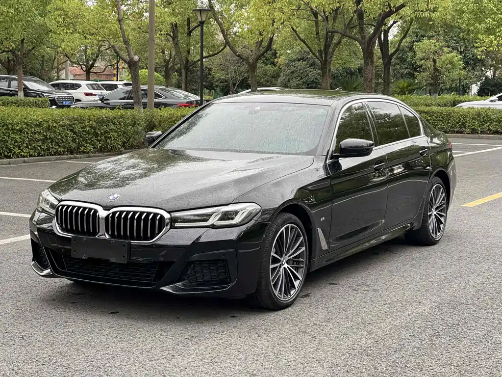 BMW 5 SERIES
