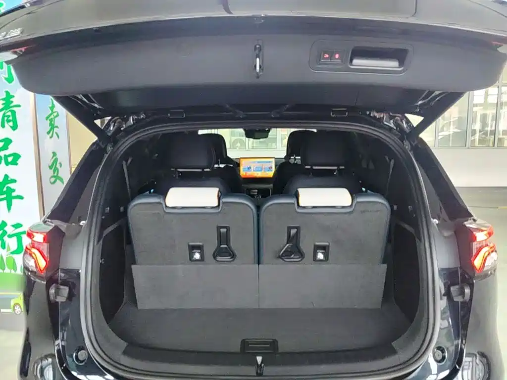 BYD Tang New Energy — миниатюра 19