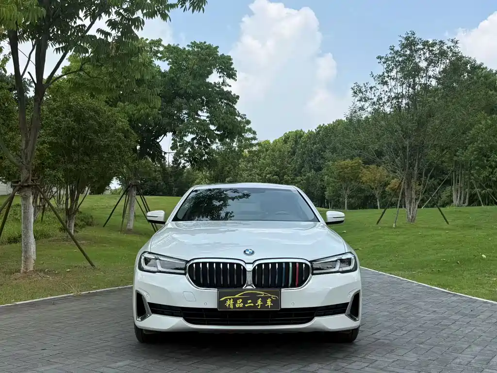 BMW 5 Series — миниатюра 2