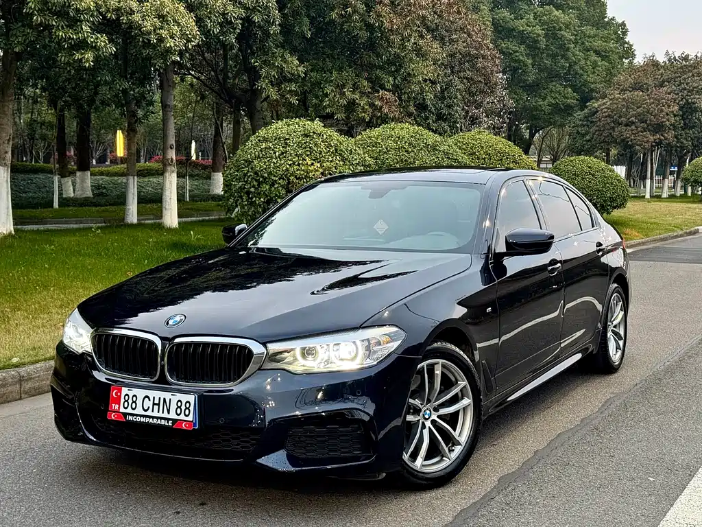 BMW 5 Series 2019