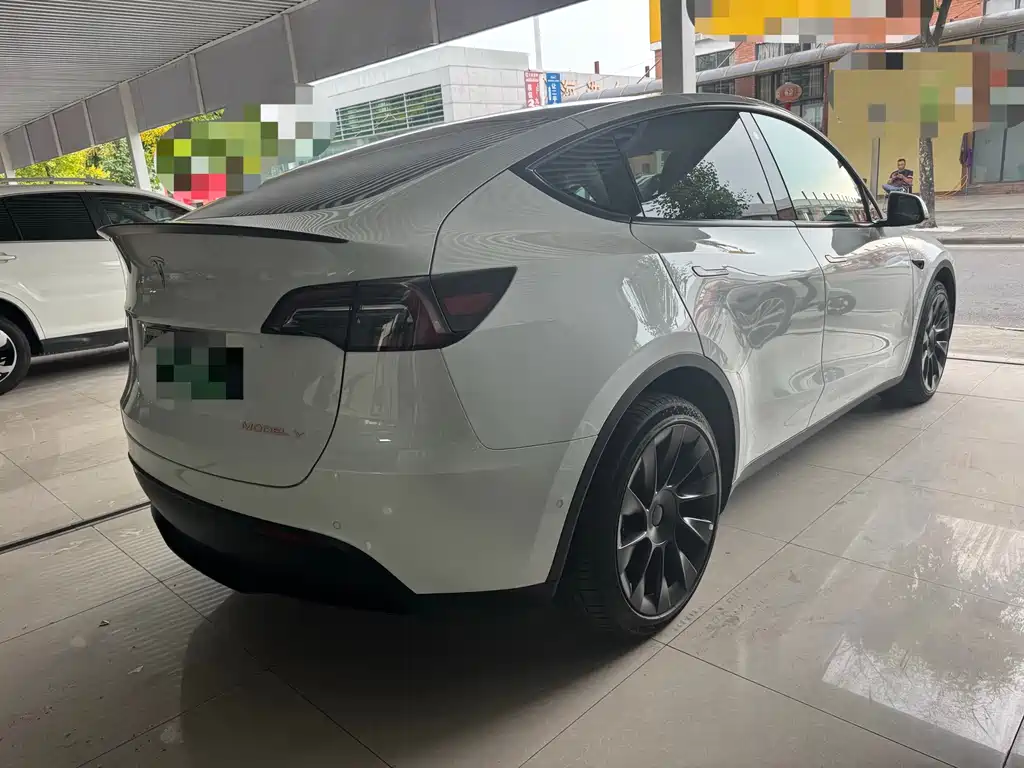 Tesla Model Y — миниатюра 10