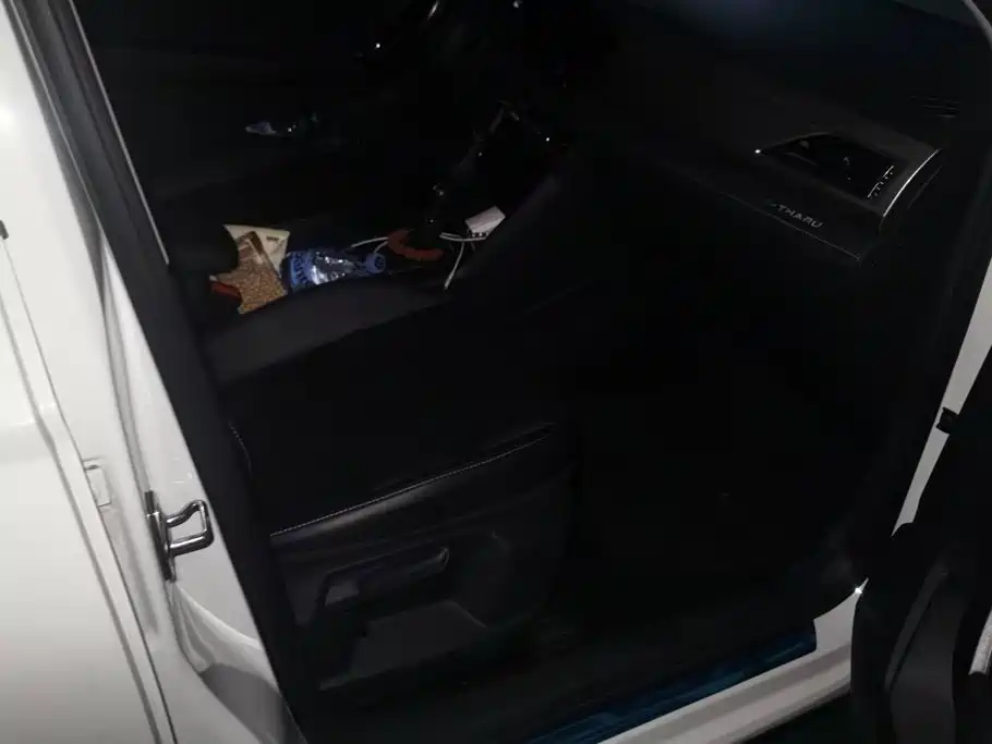 Volkswagen Tharu New Energy — миниатюра 8