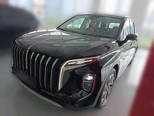 2024 Hongqi HS7