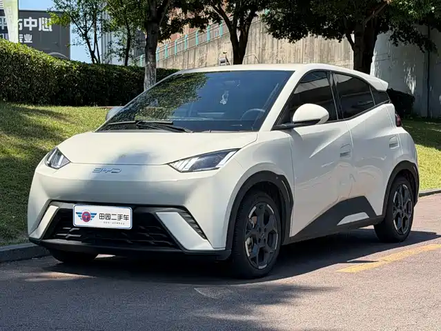 2025 BYD Seagull