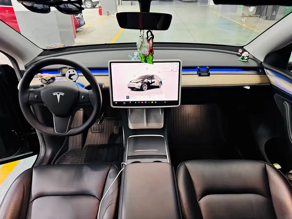 Tesla Model Y — миниатюра 14