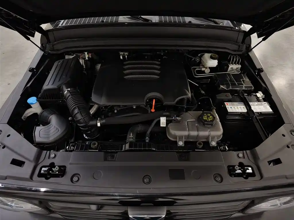 Tank 300 2024 2.0T