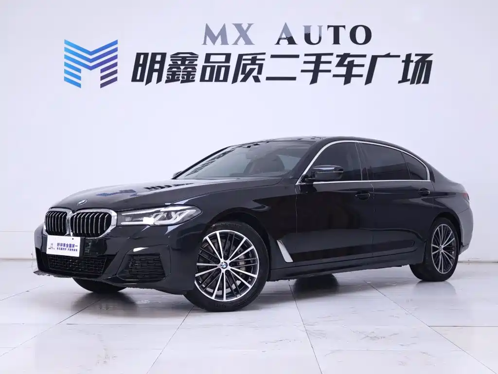 BMW 5 Series — миниатюра 2