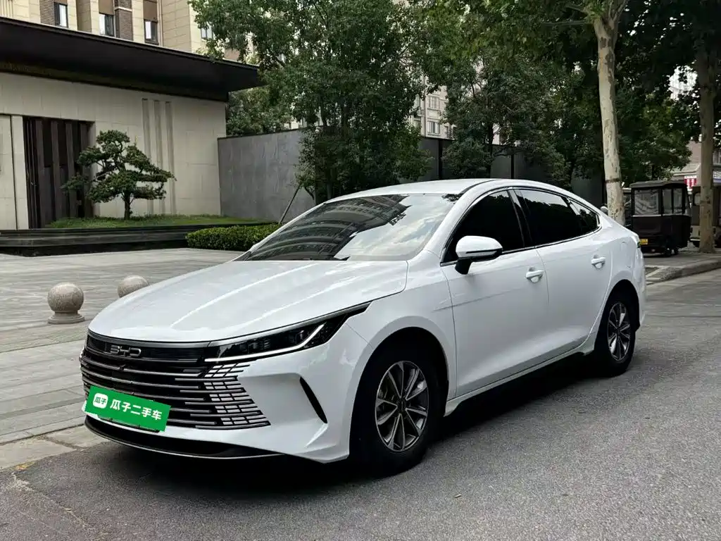 BYD Destroyer 05 — миниатюра 2