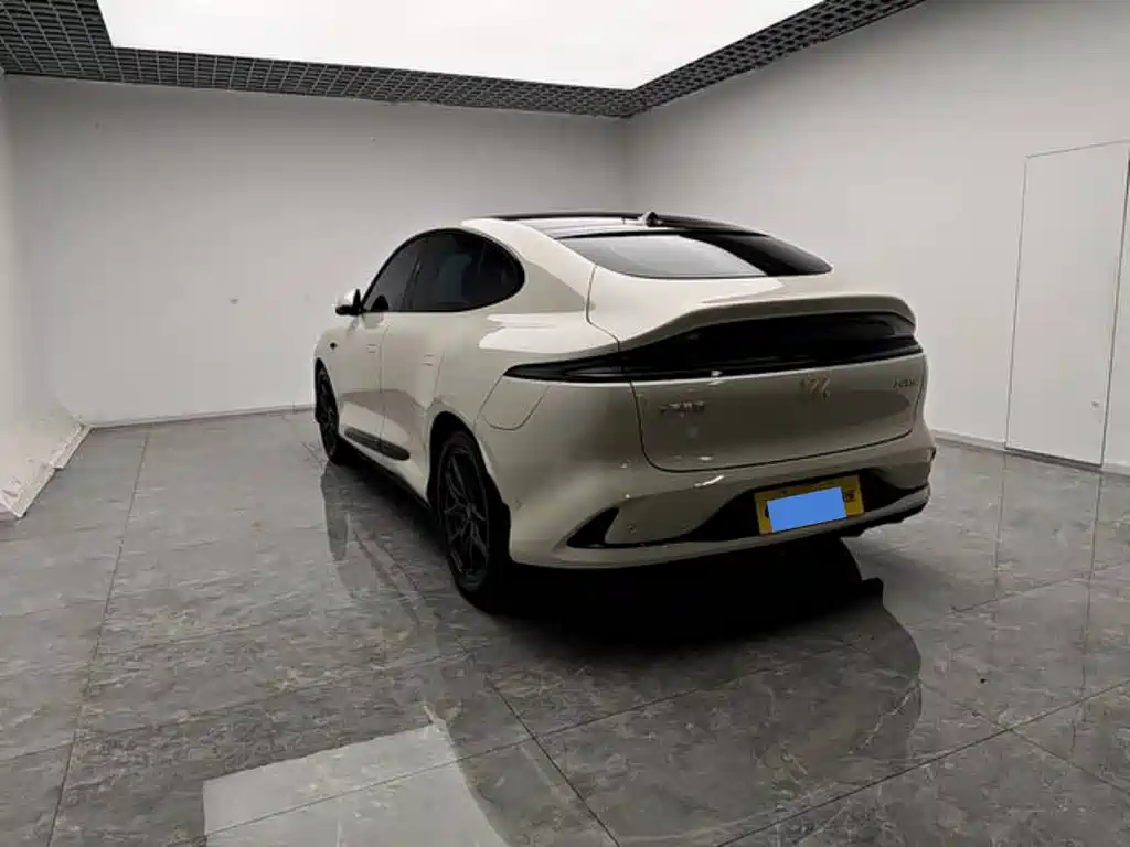 IM IM LS6 — миниатюра 8