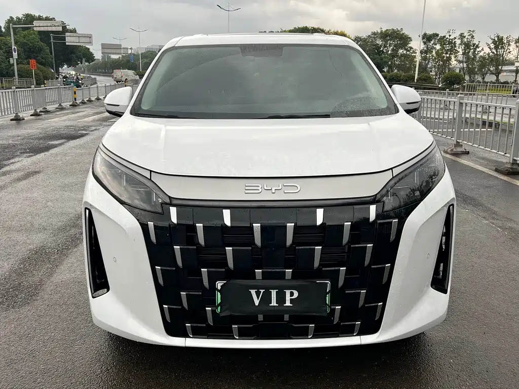 BYD M9 — миниатюра 2