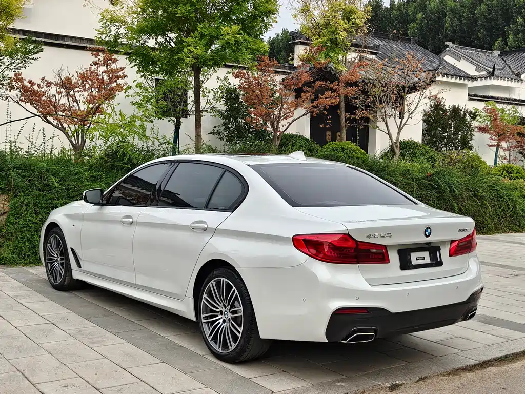 BMW 5 Series 5 2019 530Li Lead M Sport