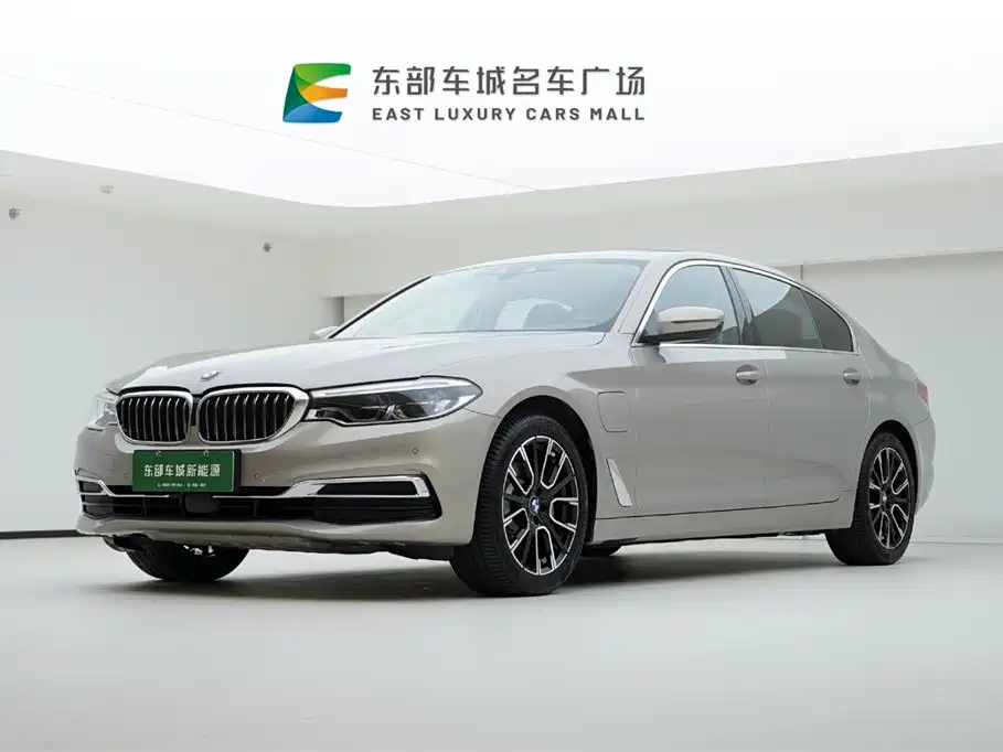 BMW 5 Series New Energy 2020