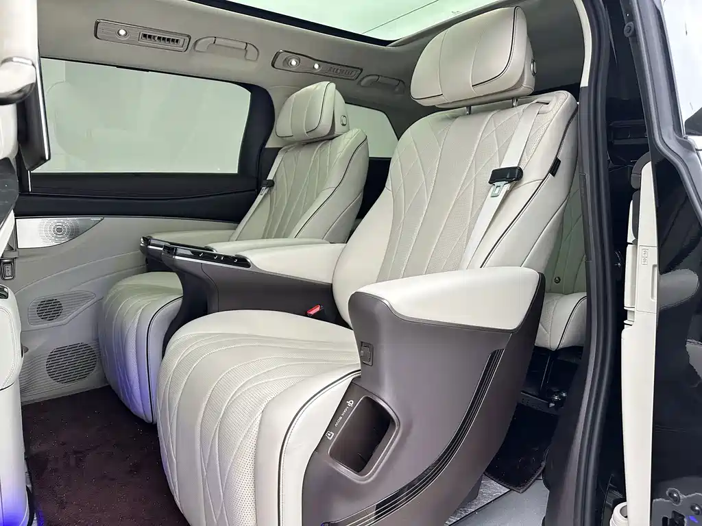 Denza Denza D9 — миниатюра 18