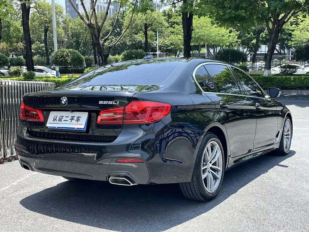 BMW 5 Series 5 2020 525Li M Sport