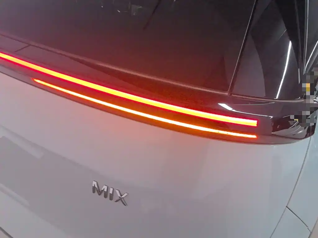 Zeekr Mix 2025 Smart Drive