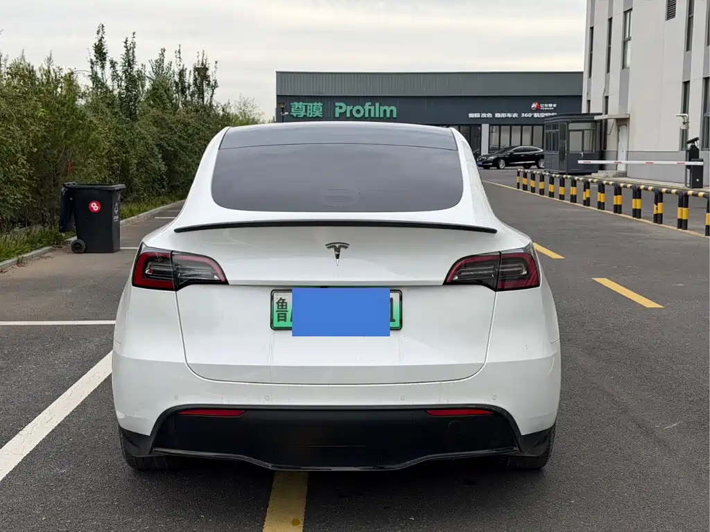 Tesla Model Y — миниатюра 5