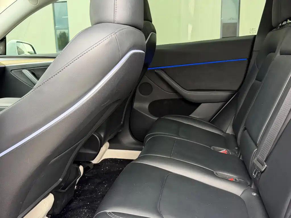 Tesla Model Y — миниатюра 8