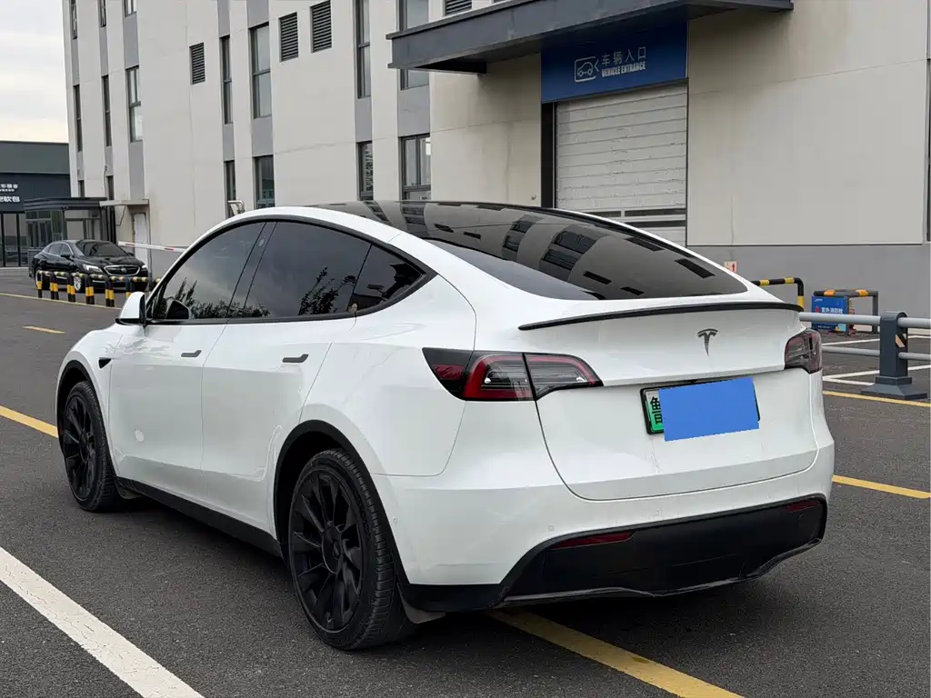 Tesla Model Y — миниатюра 6