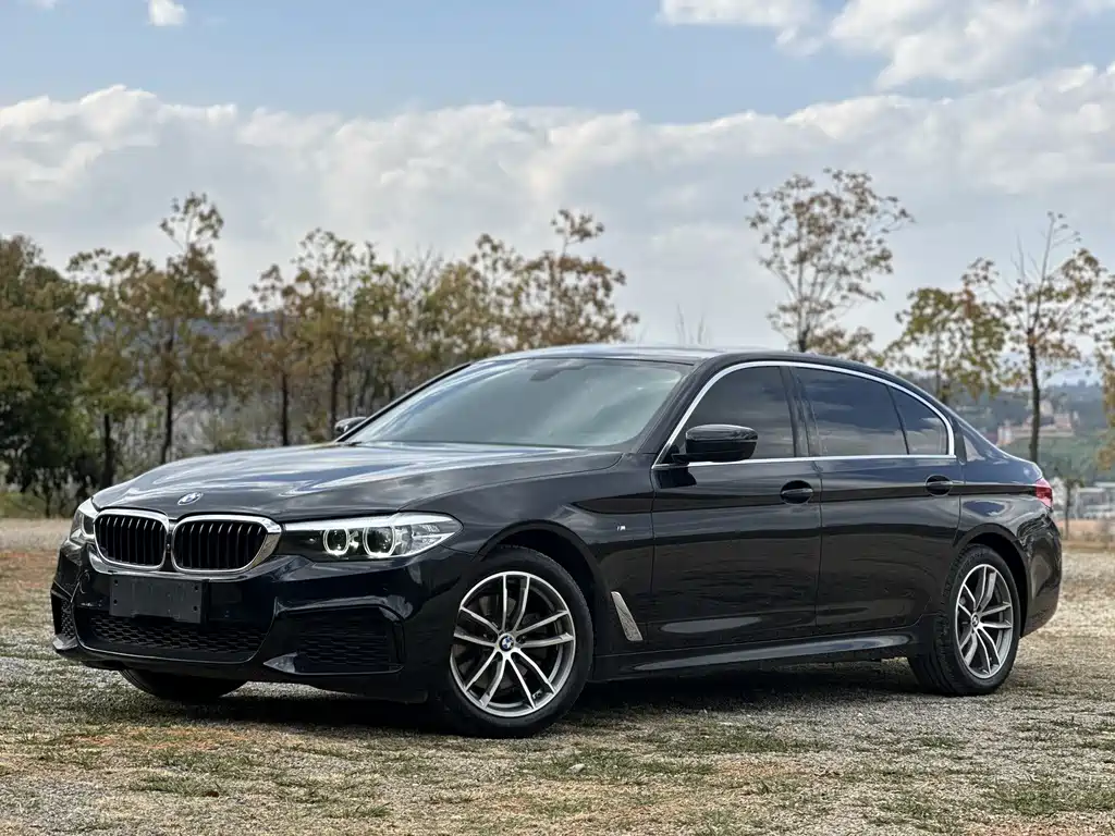 BMW 5 Series 2020