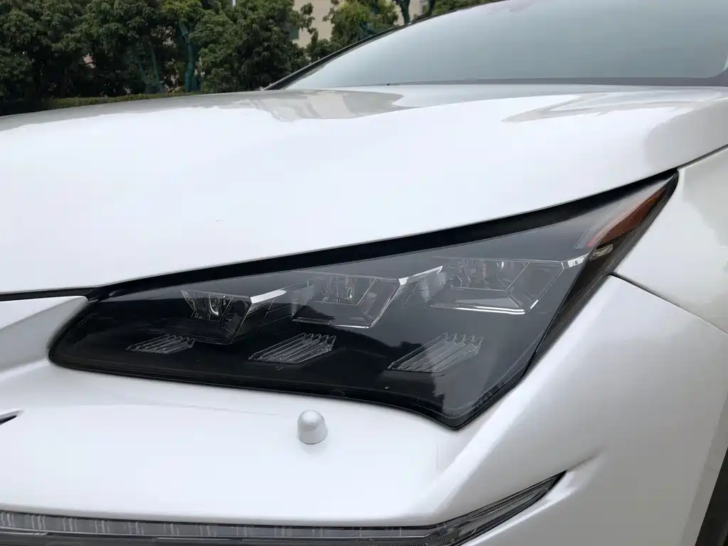 Lexus NX — миниатюра 20