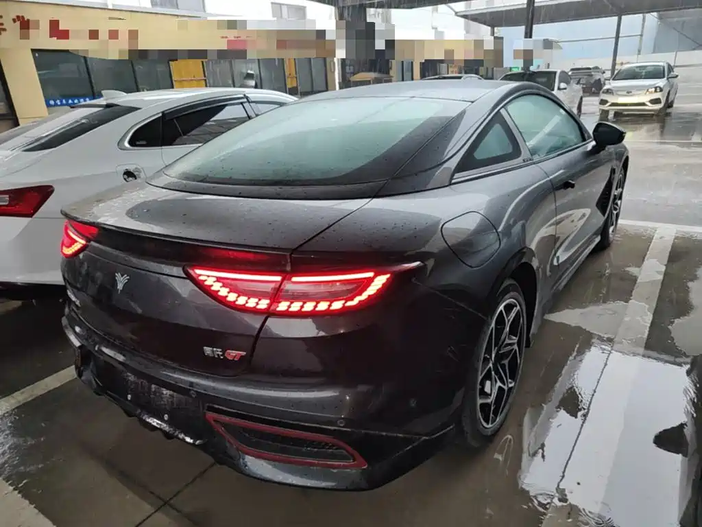 Neta GT 2023 560