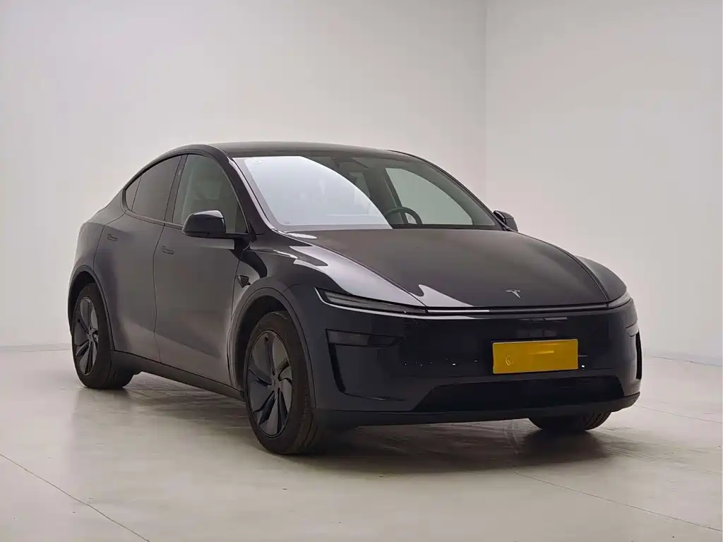 Tesla Model Y — миниатюра 3