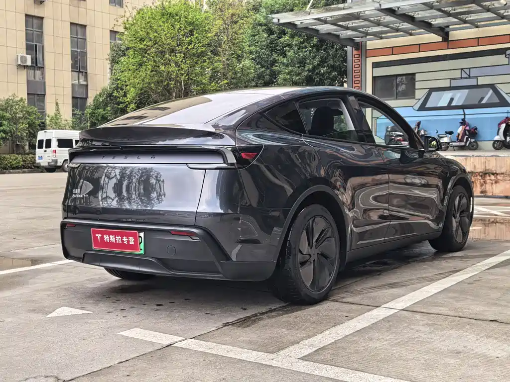 Tesla Model Y — фотографии объявления, Фото 15