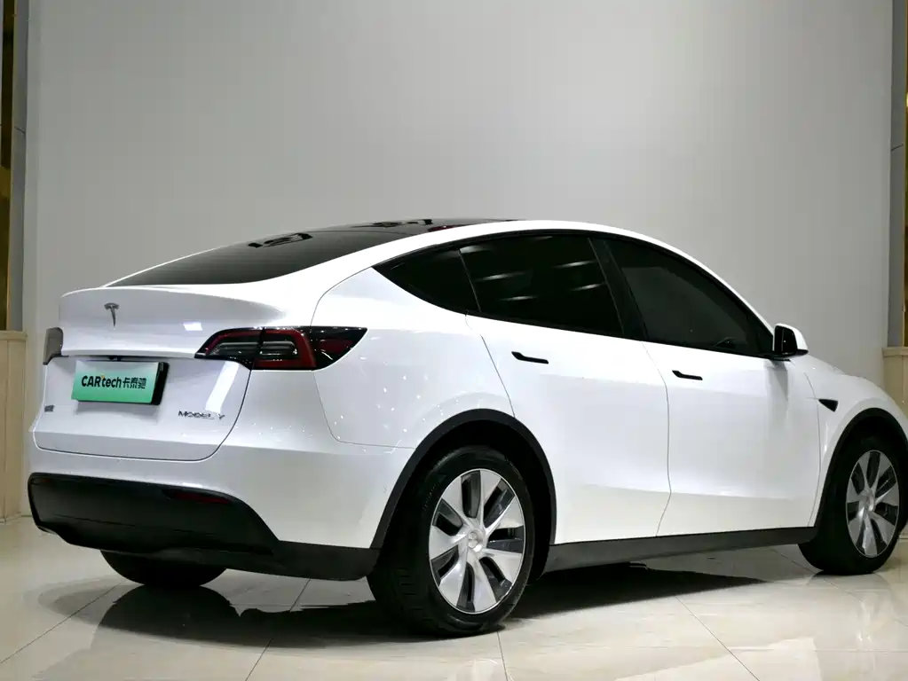Tesla Model Y — миниатюра 21