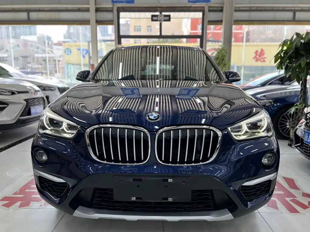 BMW X1 — миниатюра 2