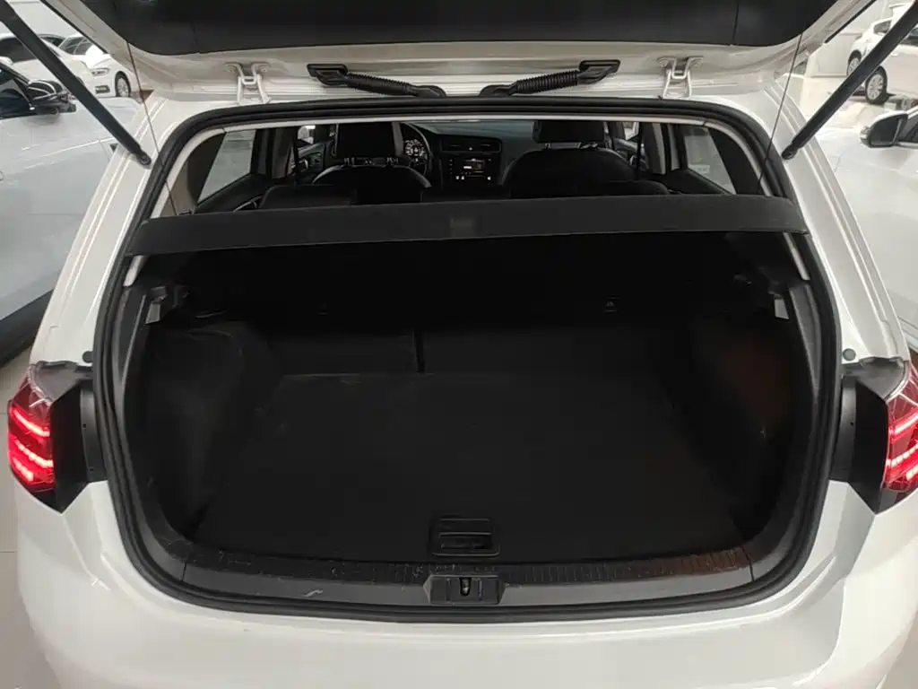 Volkswagen Golf — миниатюра 19