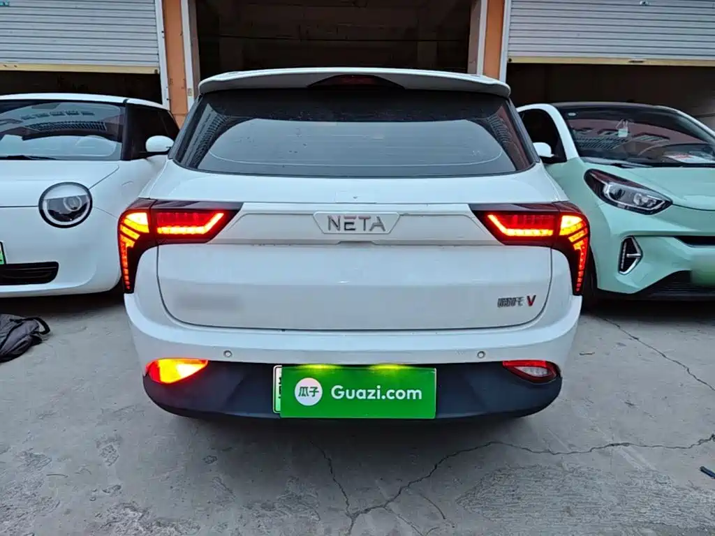 Neta Neta V — миниатюра 6