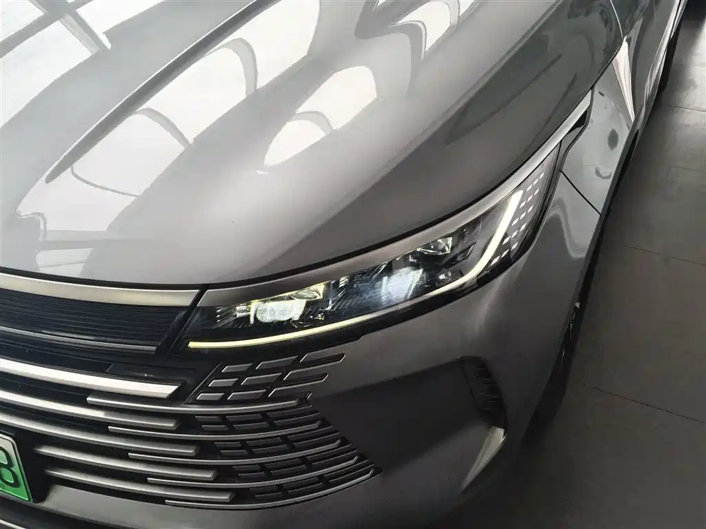 BYD Destroyer 05 - фото 24